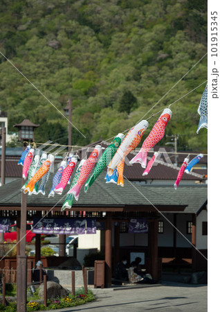 鬼怒川温泉駅前「春一番風街道」鯉のぼり 鬼怒川温泉駅前「春一番風街道」鯉のぼり 101915345