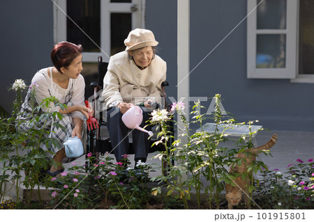 Elderly woman gardening in frontyard with daughter and cat. 101915801
