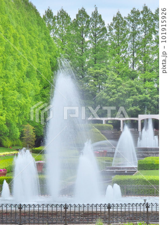 公園の噴水の競演 公園の噴水の競演 101915926