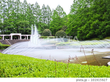 水のカーテンの庭園 水のカーテンの庭園 101915927