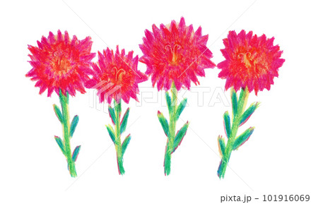 カーネーションをイメージした花のクレヨンイラスト 101916069