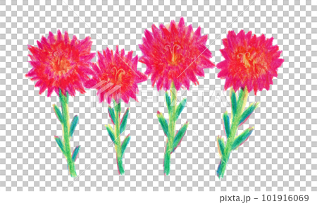 カーネーションをイメージした花のクレヨンイラスト 101916069