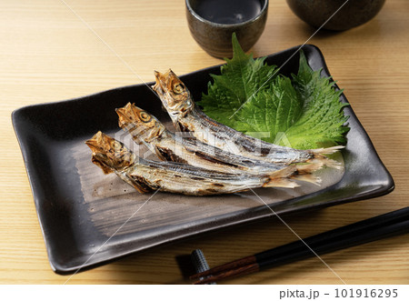 うるめいわし うるめいわし 101916295