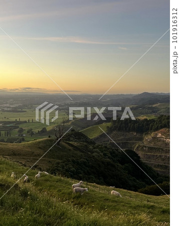 朝焼け 朝焼け 101916312