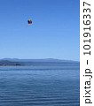 湖の上を飛ぶパラシュート 101916337