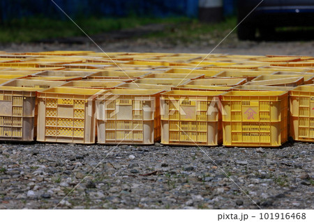 農業用コンテナ 101916468