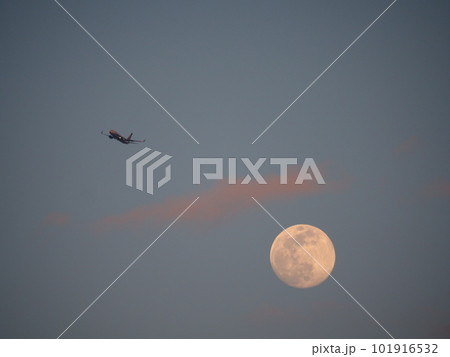 埼玉県川口市荒川堤からの風景（夕空に月と飛行機のランデブー） 101916532