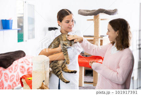 Female volunteer showing gray tabby cat to preteen girl in animal shelter Female volunteer showing gray tabby cat to preteen girl in animal shelter 101917391