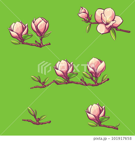 Branches of magnolia on a green background Branches of magnolia on a green background 101917658