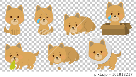 Cute dog character set illustration Cute dog character set illustration 101918217