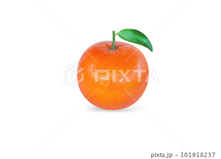 Fresh orange fruit  isolated on white background 101918237