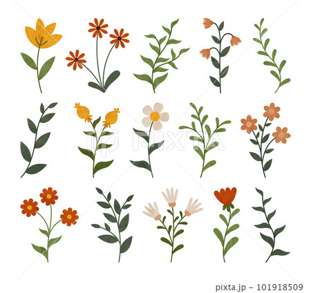 Set of floral elements. Flower collection with leaves. 101918509
