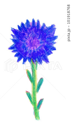 青い花のクレヨンイラスト 101918768
