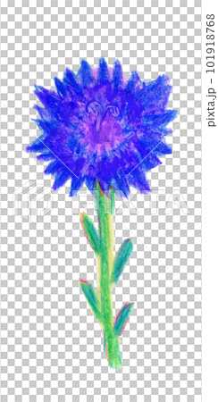 青い花のクレヨンイラスト 101918768
