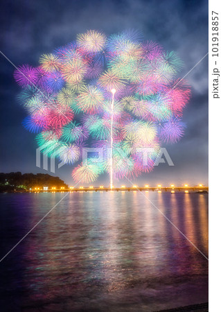 千輪菊 千輪菊 101918857