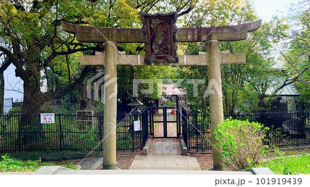 三囲（みめぐり）神社の隅田川沿いの裏口の鳥居 101919439