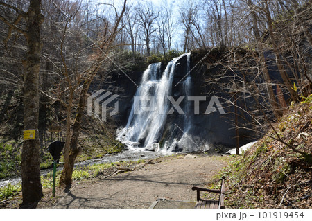 2023 04 25 鱒見の滝　滝野公園 101919454