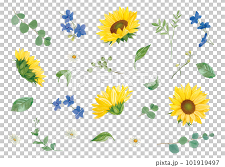 Sunflower and delphinium material set 101919497