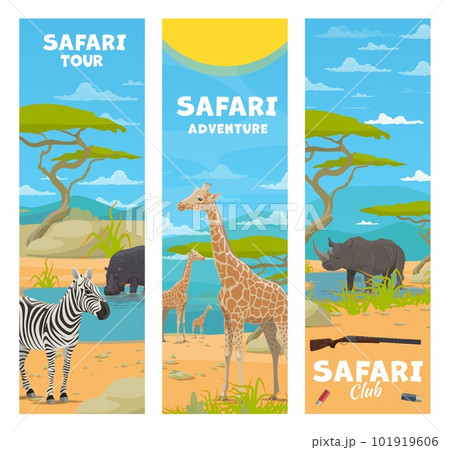 Safari hunting. Cartoon african animals on vector background of Africa savanna landscape, trees and mountains. Giraffes, rhino, hippo and zebra, hunter rifle and ammo. Safari adventure tour banners 101919606