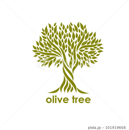 Olive tree symbol or icon. Organic vegetarian product, mediterranean food and farm garden vector symbol. Agriculture company, olive oil production icon or emblem with old twisted tree 101919608