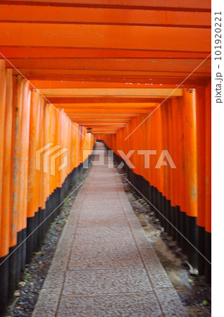 京都伏見稲荷大社 101920221