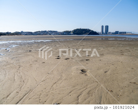 和白干潟(博多湾奥に広がる干潟)。福岡市東区。 和白干潟(博多湾奥に広がる干潟)。福岡市東区。 101921024