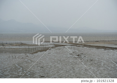 干潟の風景 干潟の風景 101921328