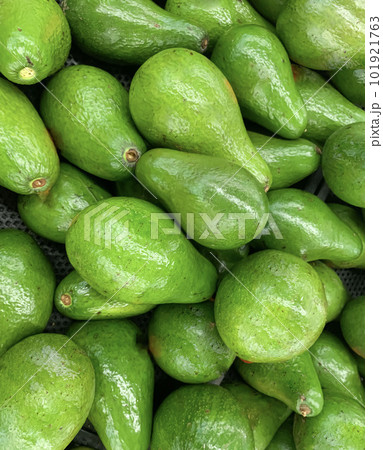 fresh produce of green avocados at the local market, healthy fresh fruit for salad or juice or guacamole fresh produce of green avocados at the local market, healthy fresh fruit for salad or juice or guacamole 101921763