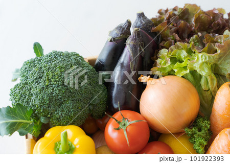 野菜がたくさん入ったカゴの写真 101922393