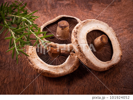 portobello mushrooms portobello mushrooms 101924052