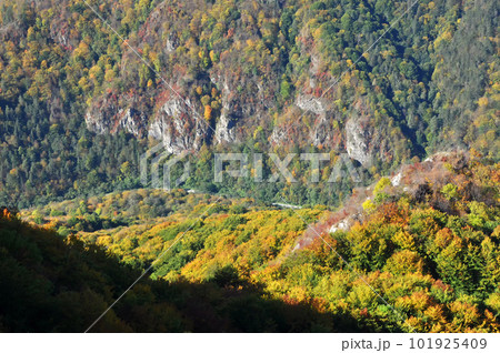 Mountain autumn landscape with colorful forest 101925409