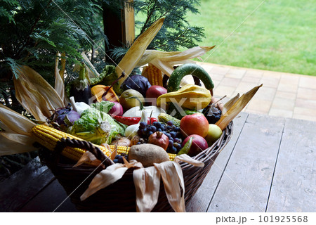 Basket of organic food vegetables Basket of organic food vegetables 101925568