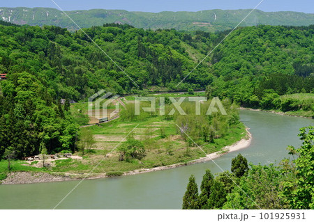 信州JR飯山線 蛇行する新緑の千曲川沿いを走るローカル列車(上境駅ー上桑名川駅間) 信州JR飯山線 蛇行する新緑の千曲川沿いを走るローカル列車(上境駅ー上桑名川駅間) 101925931