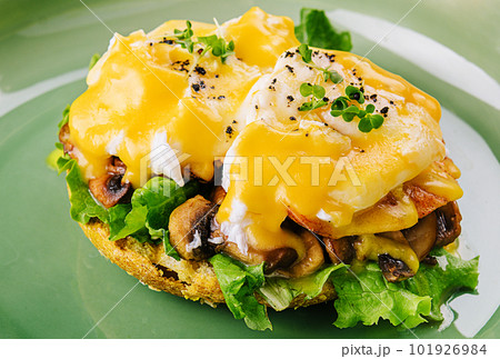 Tasty egg Benedict on green plate 101926984