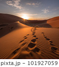 Sunset Over the Namib Desert 101927059