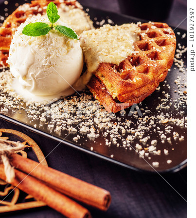 Ice cream with belgian waffles, fresh mint, vanila topping and cinnamon Ice cream with belgian waffles, fresh mint, vanila topping and cinnamon 101927597