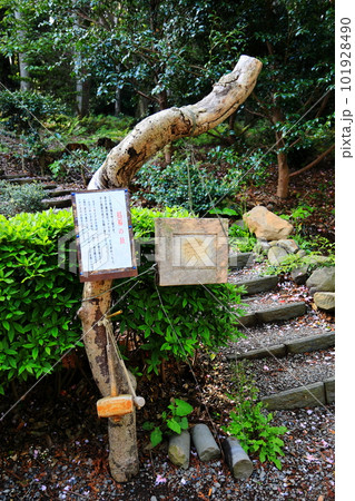 日本最古の神社壱岐島月読神社 日本最古の神社壱岐島月読神社 101928490