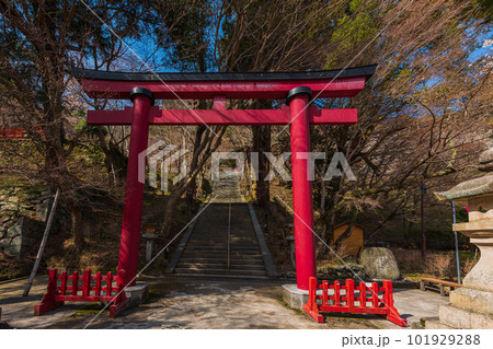 奈良県、桜巡りぶらぶら散歩、大和多武峰の桜堪能 101929288