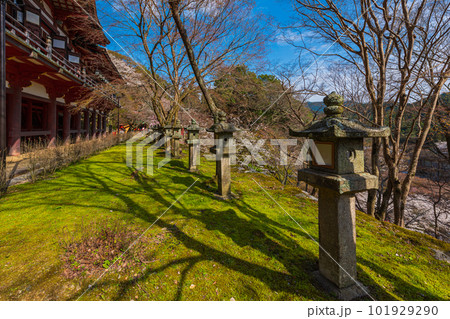 奈良県、桜巡りぶらぶら散歩、大和多武峰の桜堪能 奈良県、桜巡りぶらぶら散歩、大和多武峰の桜堪能 101929290