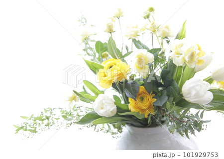 白い背景で撮った花瓶に活けられた春の草花 白い背景で撮った花瓶に活けられた春の草花 101929753