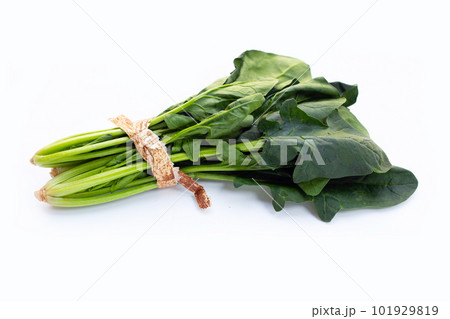 Fresh spinach on white background Fresh spinach on white background 101929819