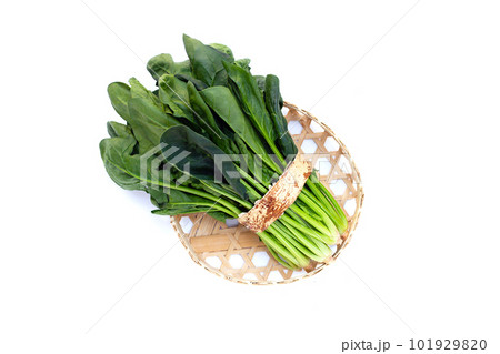 Fresh spinach on white background 101929820