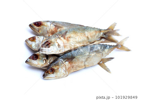 Salted fish on white background. Salted fish on white background. 101929849