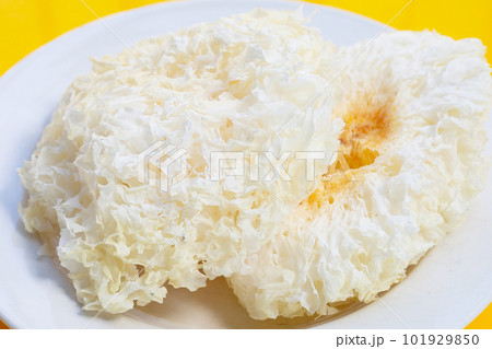 Tremella Mushroom in white plate on yellow background. Tremella Mushroom in white plate on yellow background. 101929850