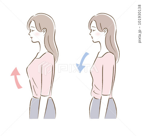 バストアップブラ・ブラトップを着用した女性のビフォーアフターのイラスト 101930138