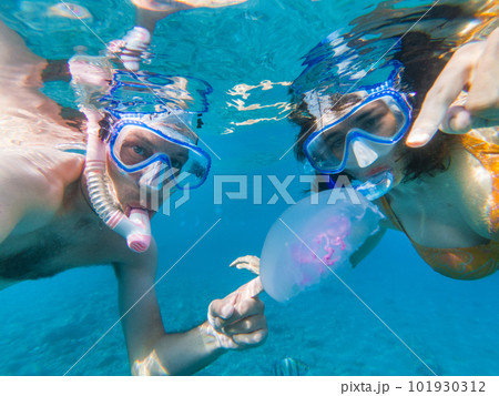 Couple snorkeling underwater with fishes and jellyfishes 101930312