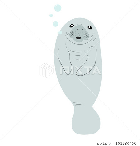Cute cartoon manatee isolated on white background.  101930450