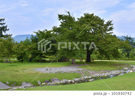 安曇野ちひろ公園の小川 101930742