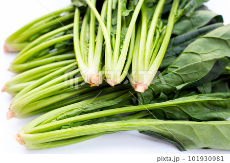 Fresh spinach on white background 101930981