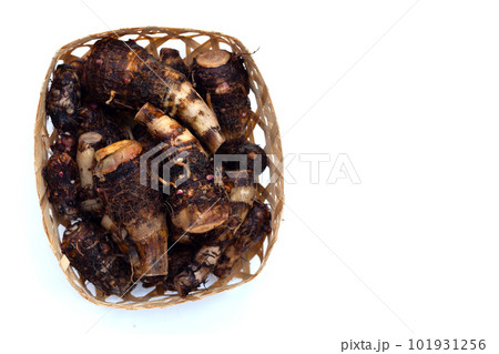 Organic taro fruit on white background. 101931256